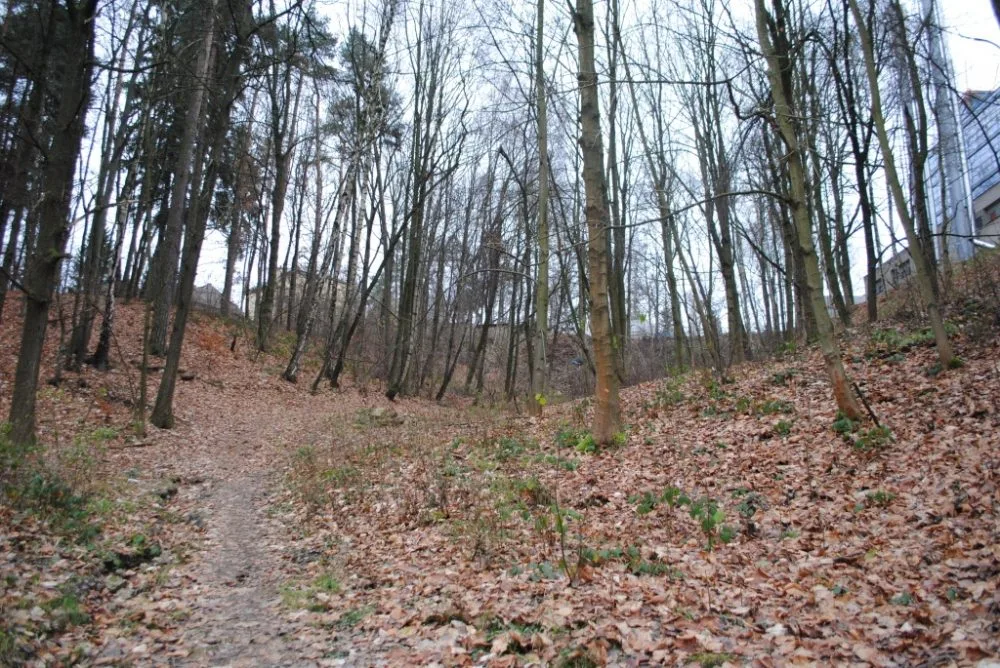 Lesopark u ZOO dostane injekci za miliony