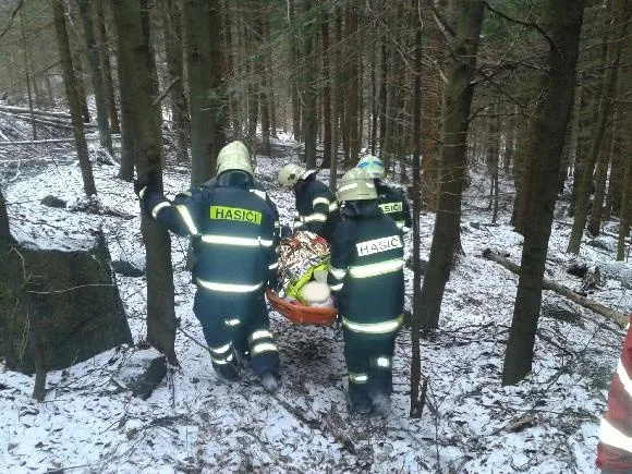 Hasiči transportují poraněného muže. Foto: HZSLK