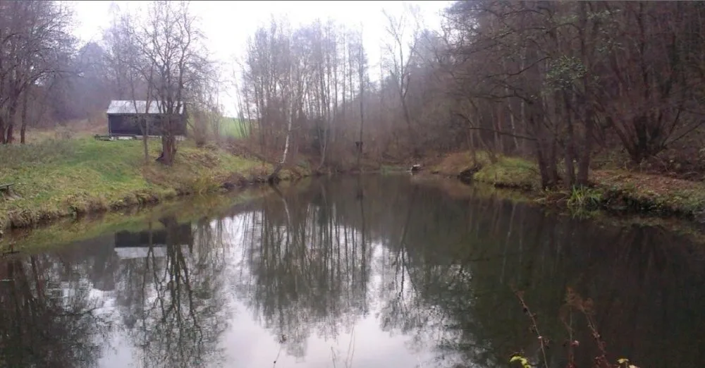 Hellerův rybník. Foto: rybáři Český Dub