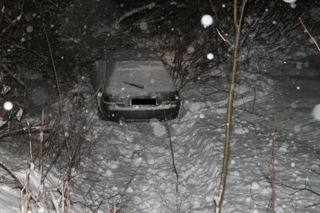 Audi skončila zapíchnutá mezi stromky. Foto: Policie ČR