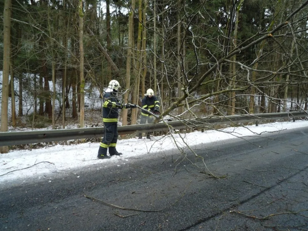Námraza může způsobit lámání stromů. Foto: HZSLK