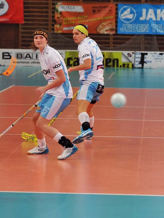 Nepovedený konec roku pro Crazyny. Foto: Jaroslav Appeltauer