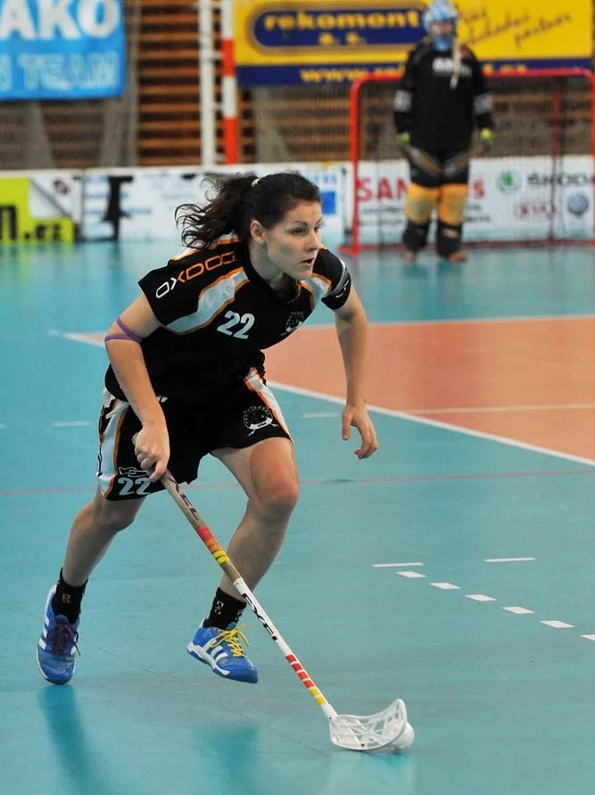 Nepovedený konec roku pro Crazyny. Foto: Jaroslav Appeltauer