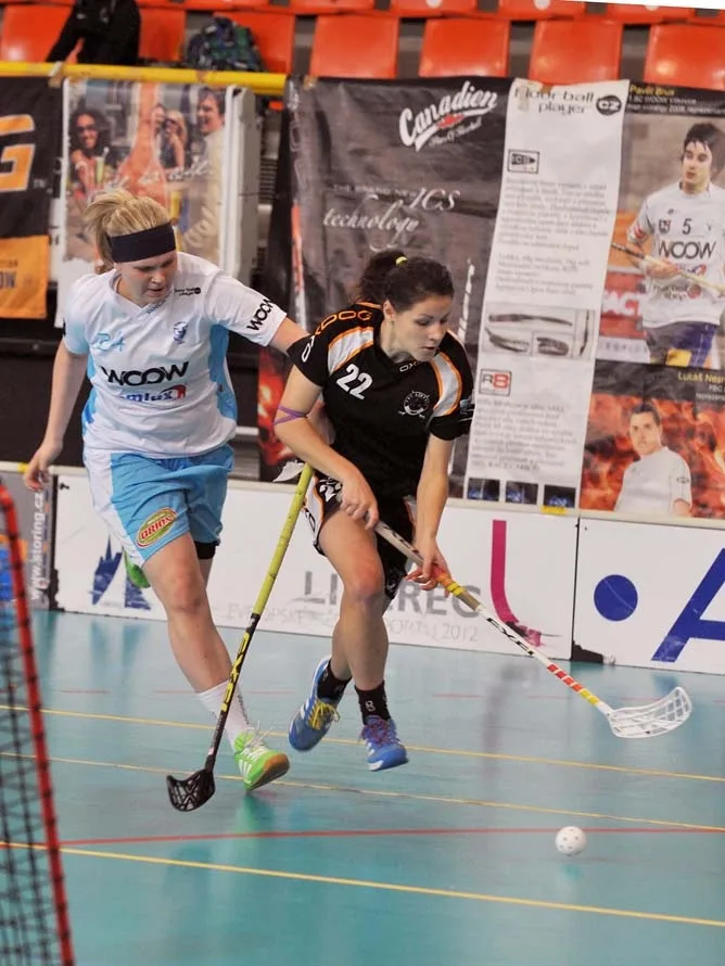 Nepovedený konec roku pro Crazyny. Foto: Jaroslav Appeltauer