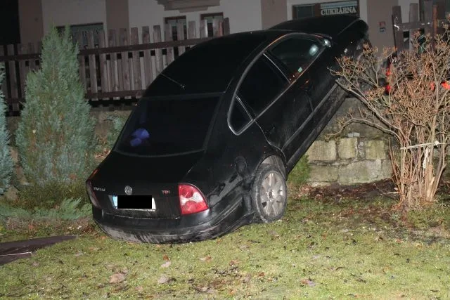 Řidička skončila s autem v zahradě. Foto: Policie ČR