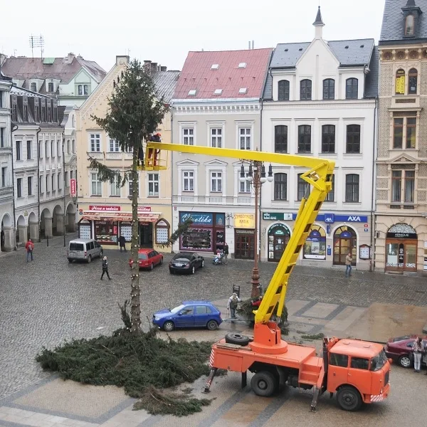 Likvidace vánočního stromu. Foto: Jan Vrabec
