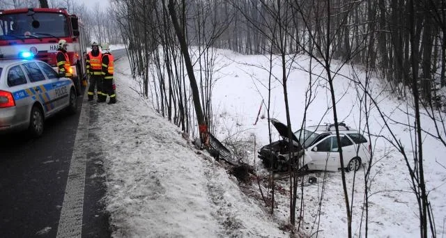 Auto skončilo po nárazu mimo silnici. Foto: Policie ČR