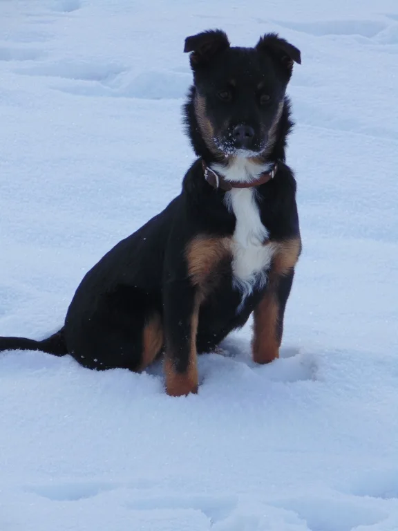 Jully