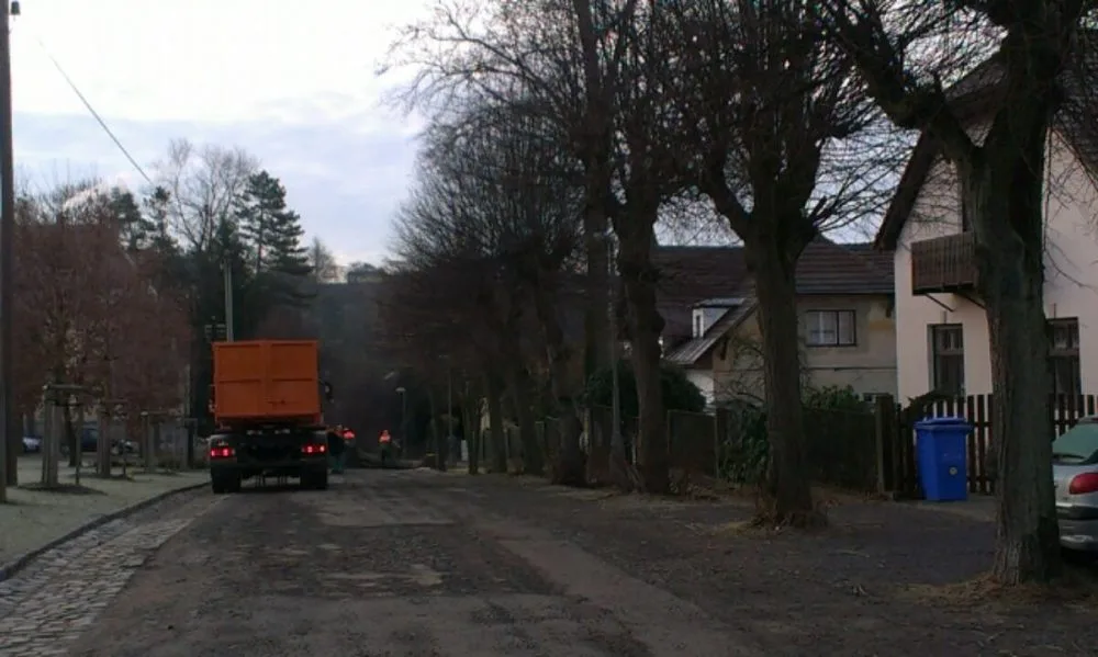 V Gorkého ulici padlo několik vzrostlých stromů