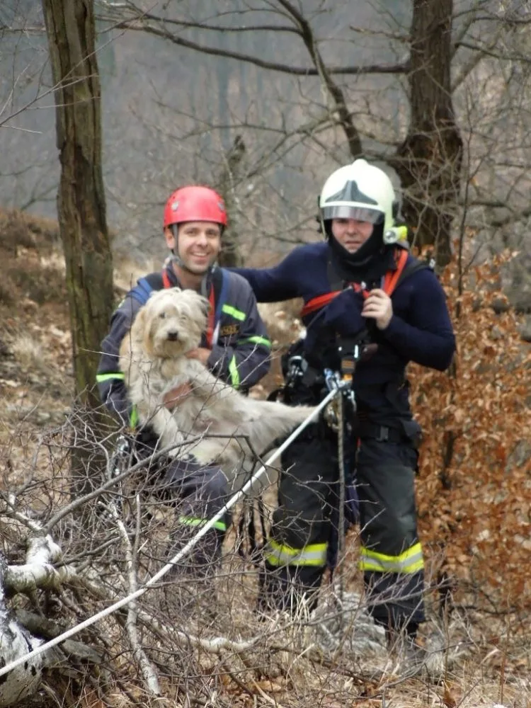 Záchrana psa byla fyzicky náročná. Foto: HZSLK