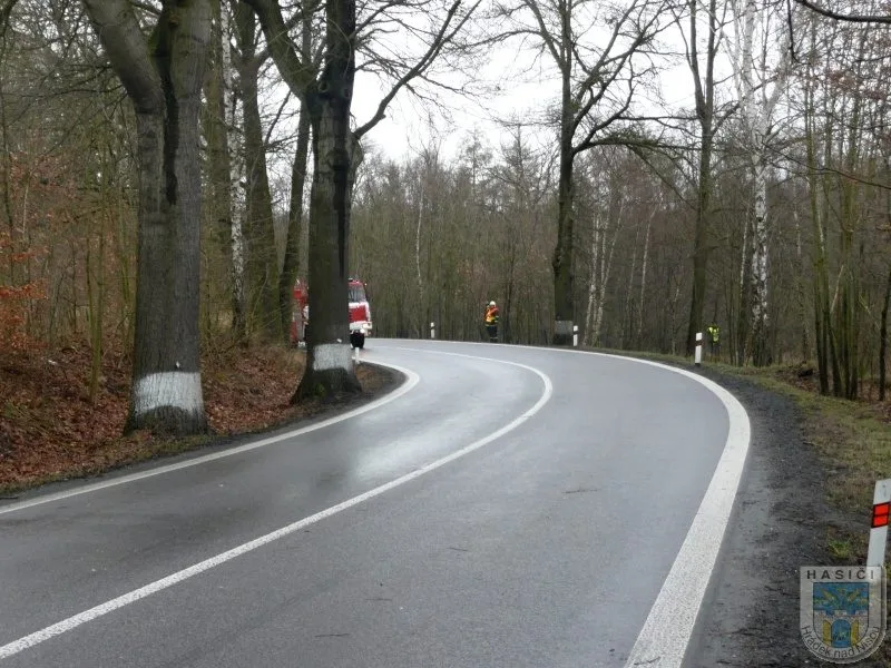 Řidič vyvázl ze Seatu bez zranění. Foto: Hasiči Hrádek nad Nisou