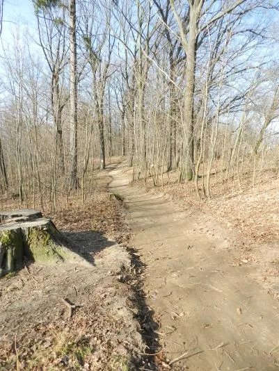 Aktuální stav lesoparku Střelnice. Foto: Město Frýdlant