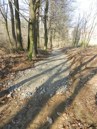Aktuální stav lesoparku Střelnice. Foto: Město Frýdlant