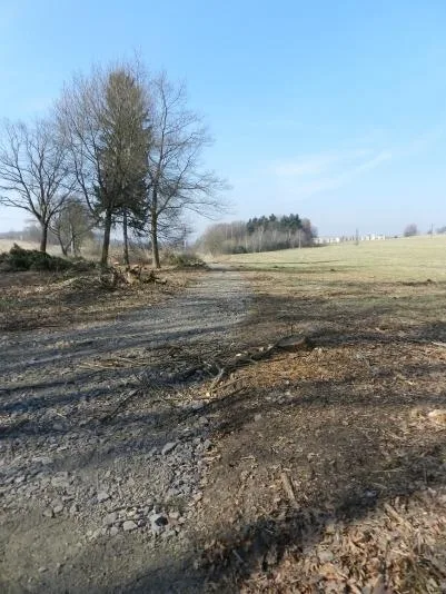Aktuální stav lesoparku Střelnice. Foto: Město Frýdlant