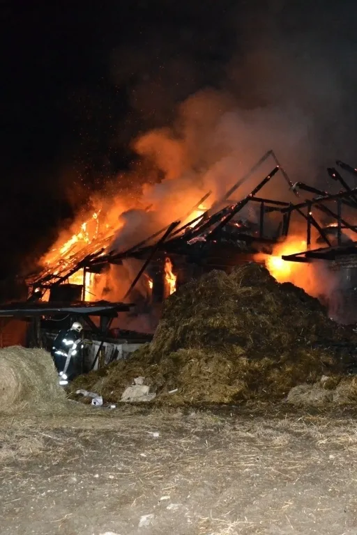 Při nočním požáru statku uhořely dvě krávy. Foto: HZSLK