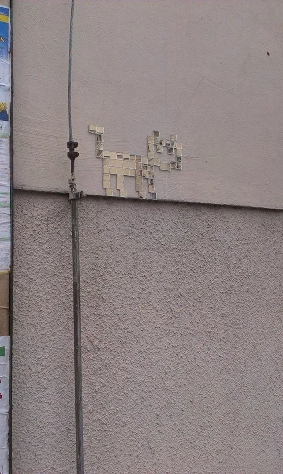 Tady je kočka na budově S Technické univerzity