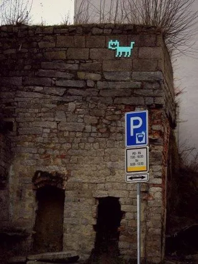 Kočka na zdi pod sociálkou