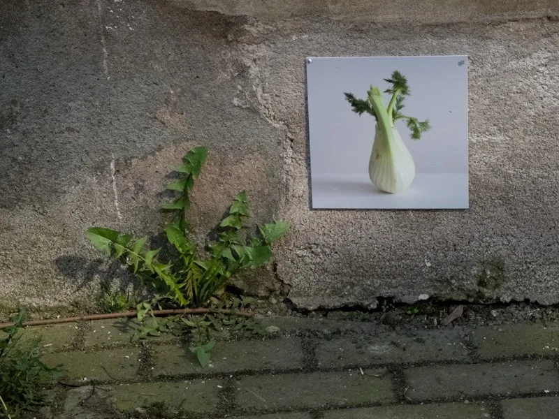 Jedna z fotografií na fasádě domu. Foto: fotoklub 7,65