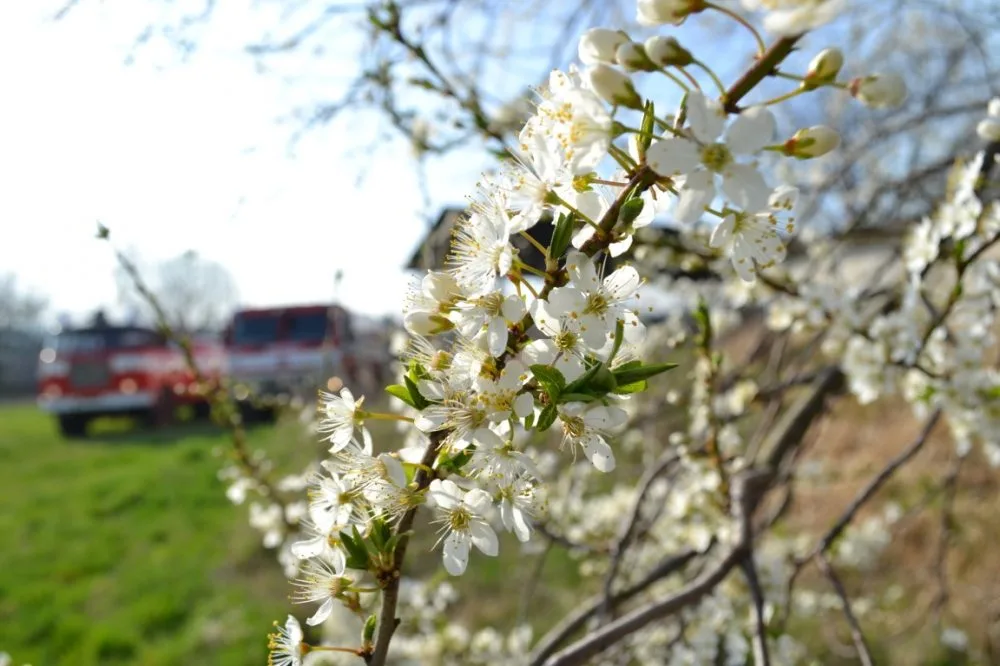 Desítky hasičů zaměstnal hořící sklad slámy na Českodubsku. Foto: HZSLK