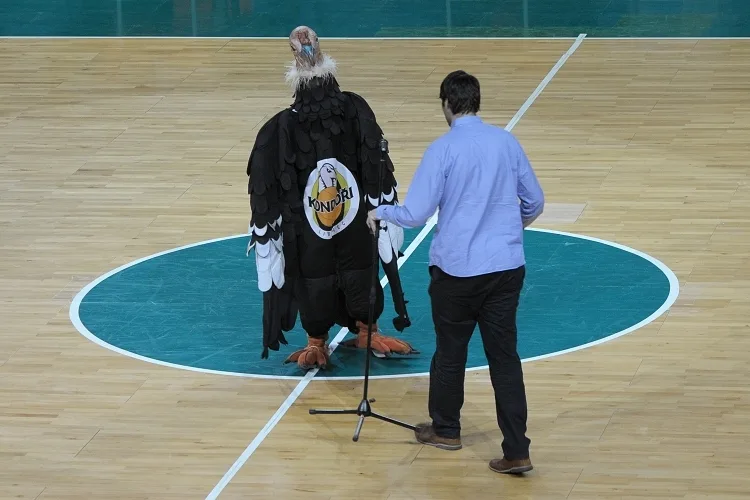 Pod Ještědem odstartoval turnaj, který má mládež přitáhnout k basketbalu. Foto: Jan Vrabec