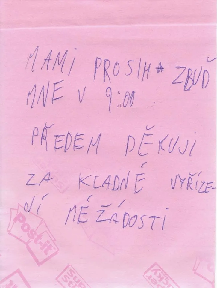 Snad byla žádost kladně vyřízena. Foto: KVKLI