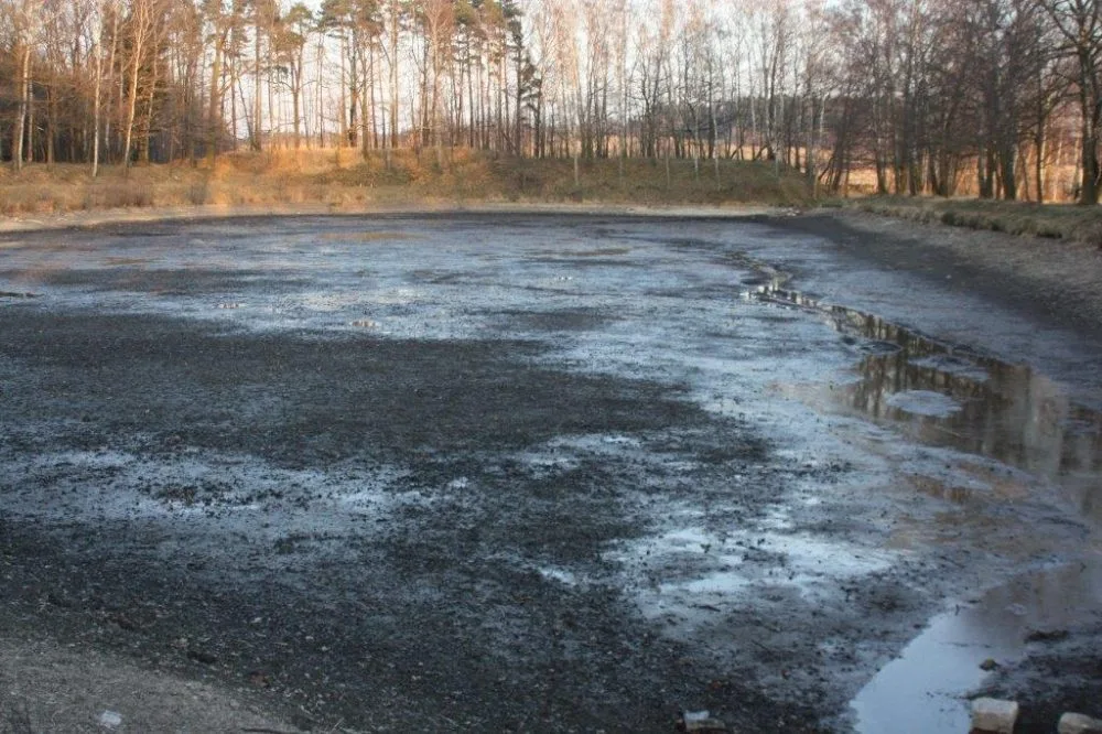 Rybník byl po letech zanešen vrstvou bahna