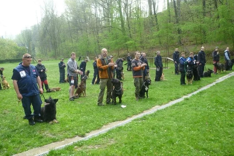 Do Pavlovic se sjeli psovodi z celé republiky. Foto: MP Liberec