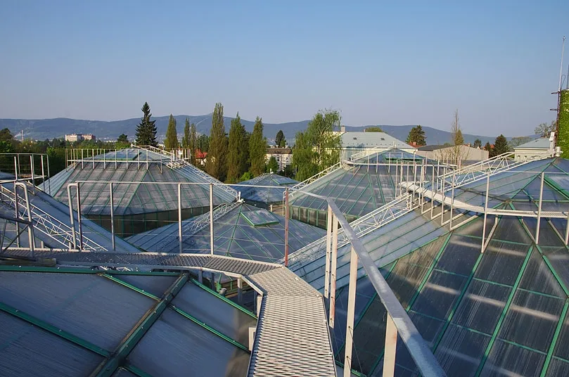 Nový pavilon botanické zahrady začíná nabírat na obrysech. Foto: Botanická zahrada Liberec