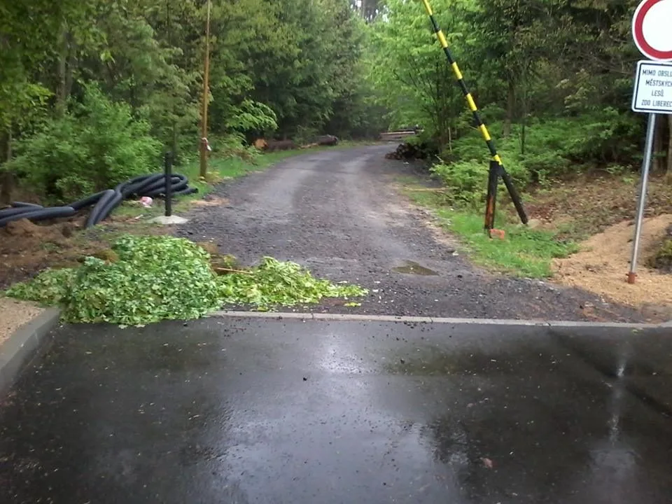 Odpad někdo pravidelně hází na stejné místo. Foto: Městské lesy