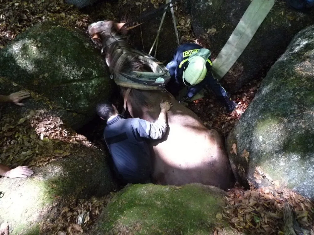 Hasiči se zapotili, tři hodiny tahali kobylu ze sevření balvanů. Foto: HZSLK