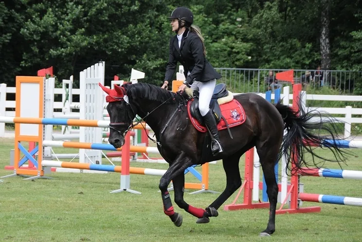 Liberecký jezdecký klub oslavil skokovým závodem padesátiny. Foto:Zuzana Minstrová