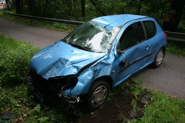 Škoda je vyčíslena na 40 tisíc korun. Foto: Policie ČR