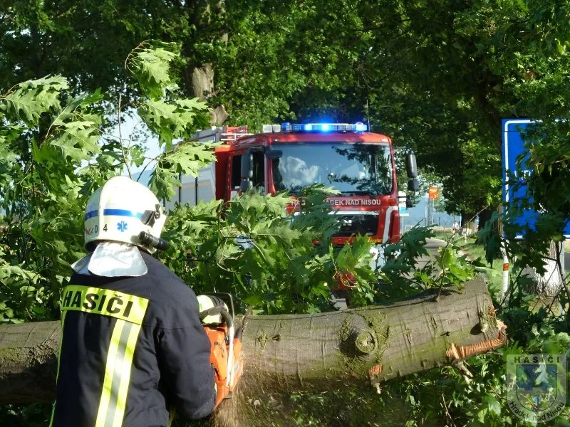 Hasiči strom odklidili během půl hodiny. Foto: Hasiči Hrádek nad Nisou