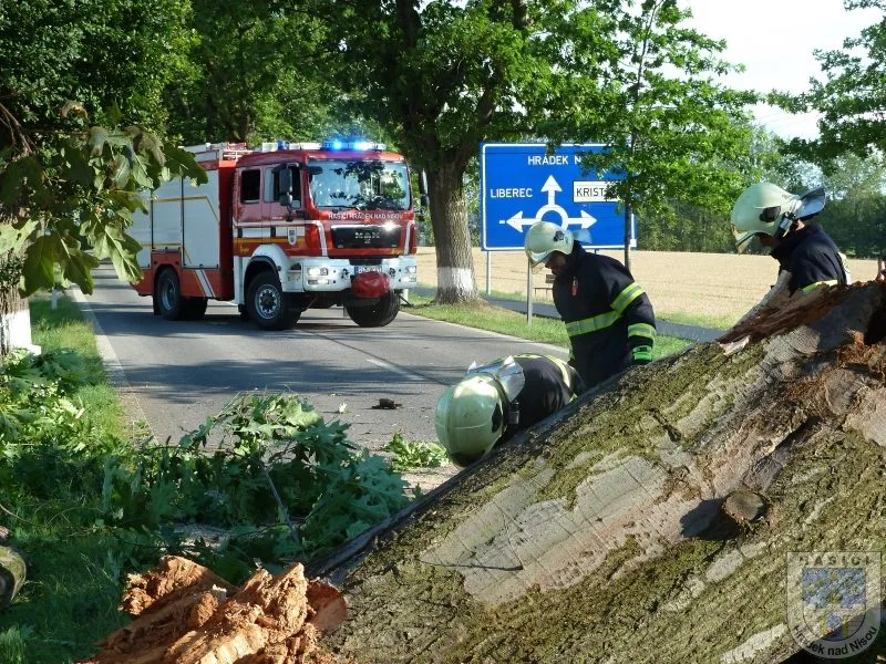 Hasiči strom odklidili během půl hodiny. Foto: Hasiči Hrádek nad Nisou