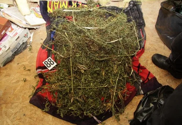 Další úspěch kriminálky. Zadržela sedm dealerů drog. Foto: Policie ČR