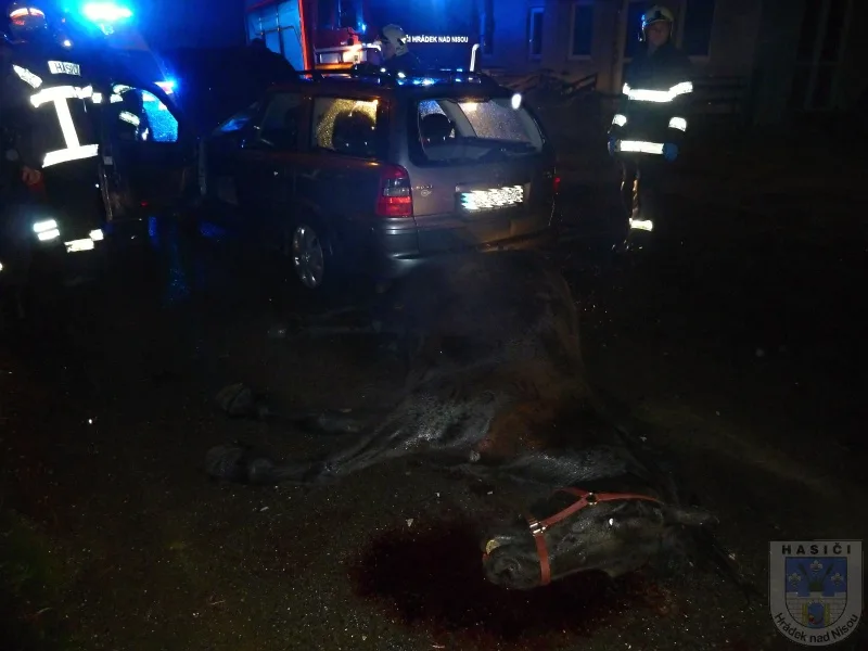 Tvrdý náraz v Oldřichově. Řidička večer usmrtila koně. Foto: Hasiči Hrádek nad Nisou