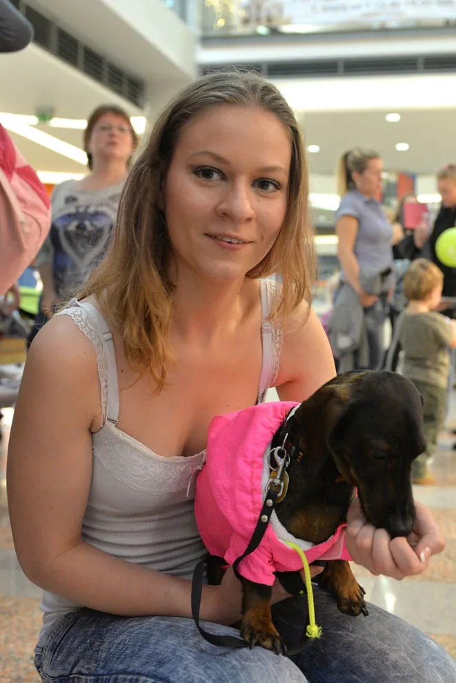 Foto: Jaroslav Appeltauer