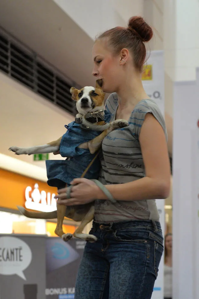 Foto: Jaroslav Appeltauer