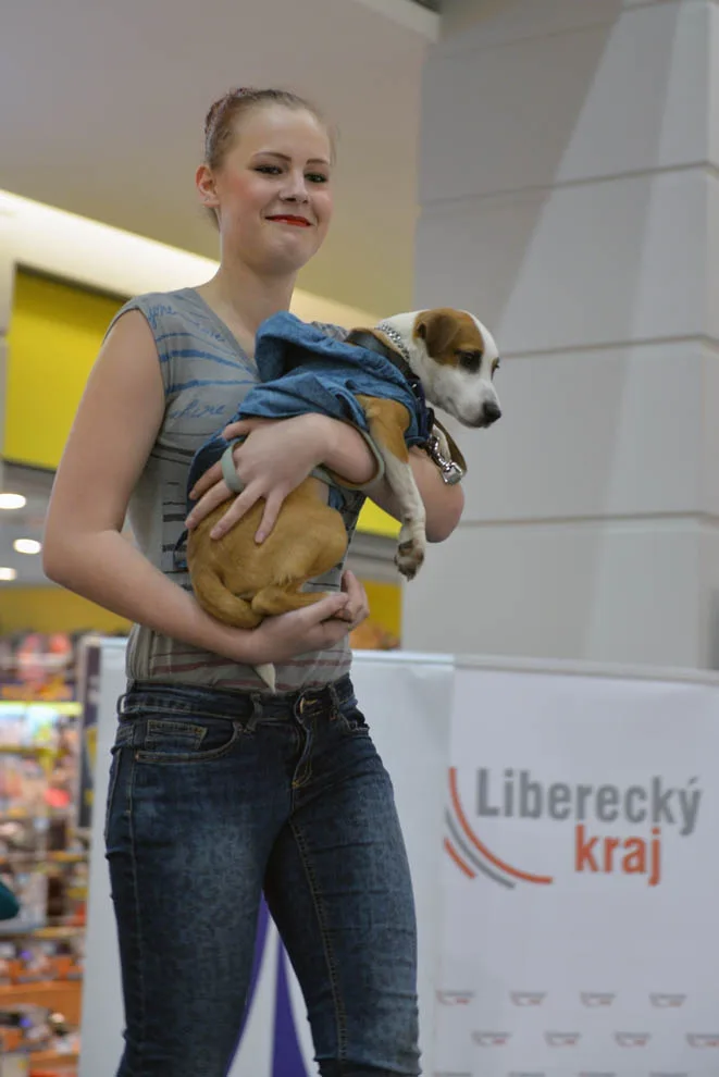 Foto: Jaroslav Appeltauer