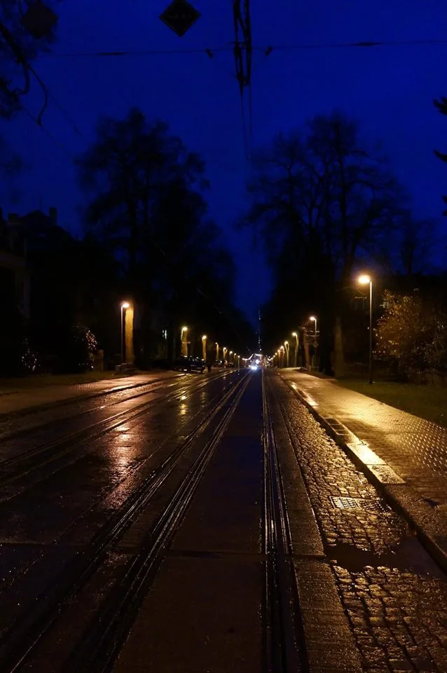 Podzimní Masarykova. Foto I. Freiwilligová