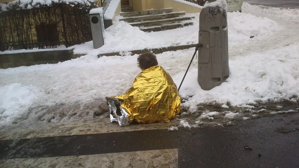 Zraněná stařenka. Foto: MP Liberec