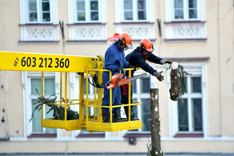 A je po Vánocích. Na náměstí pokáceli strom. Foto: Jan Král