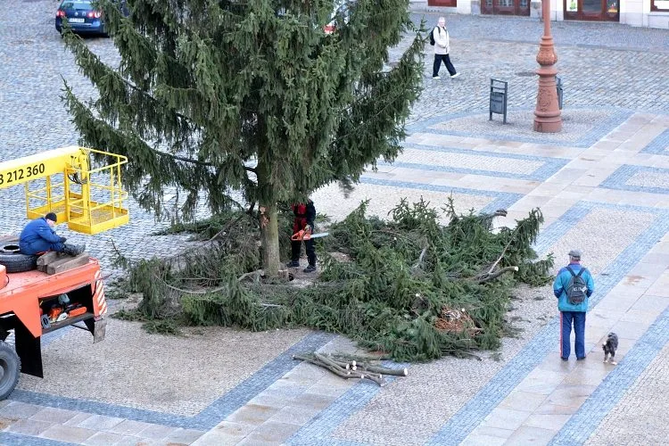 A je po Vánocích. Na náměstí pokáceli strom. Foto: Jan Král