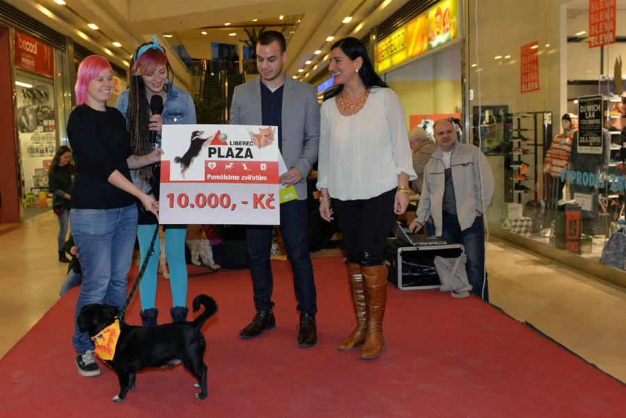 www.apikfoto.cz