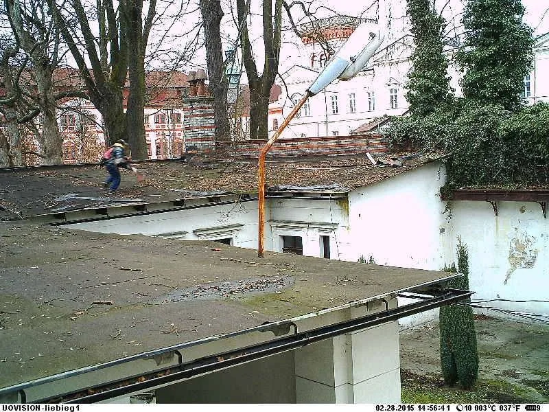Záběr z fotopasti. Foto: MP Liberec