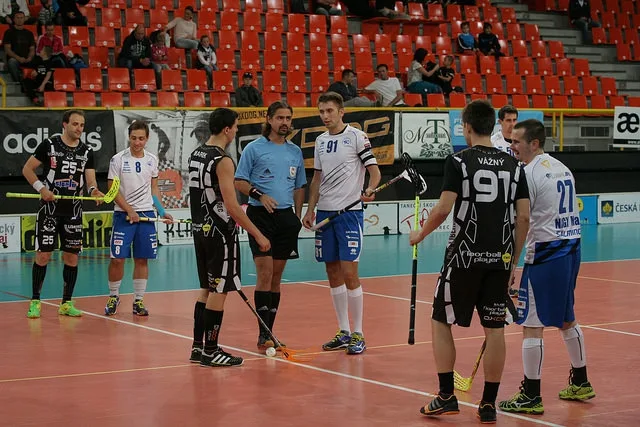 Ilustrační foto: FBC Liberec