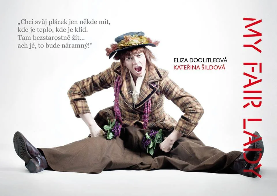 Ilustrační foto: Divadlo F.X. Šaldy