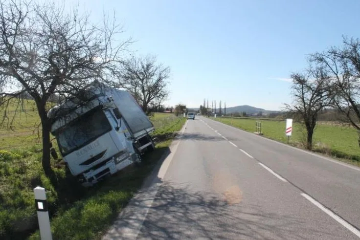 Nákladní auto zastavil řidič až o strom u silnice. Foto: Policie ČR