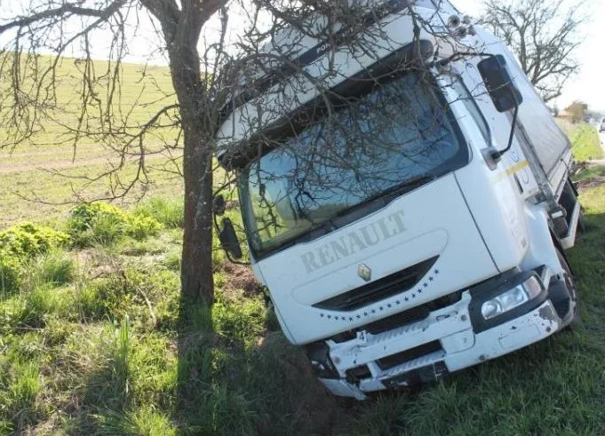Nákladní auto zastavil řidič až o strom u silnice. Foto: Policie ČR