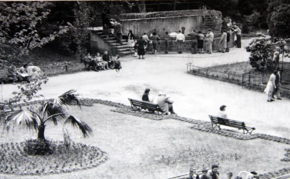Expozice ledních medvědů v zoo Liberec 1958